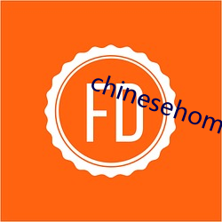 chinesehomadeviveo