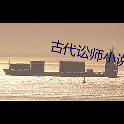 古代讼师小(小)说