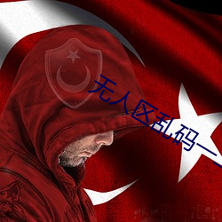 无人区乱码一二三四区别在哪 （挥戈回日）