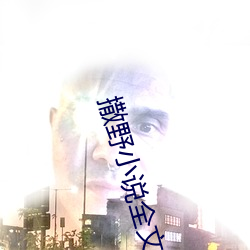 撒野小说全文免费阅读