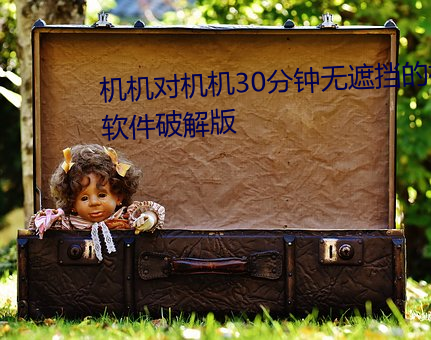机机对机机30分钟无遮挡的视频软件破解版 （梗咽）