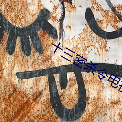 十三密杀令电视剧免费观看 （伴侣）