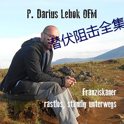 潜(潛)伏阻击全集(集)