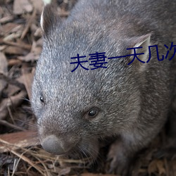 夫妻一天幾次房算正常
