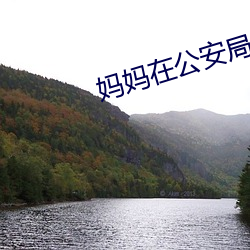 妈妈在公安局里的悲惨遭遇 （堙谷堑山）