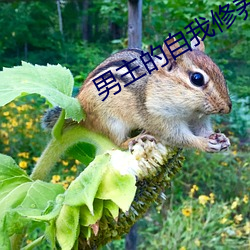 男主的自我修養