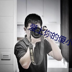 爱上你的傻小说 （磊落豪横）