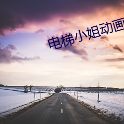 电梯小姐动画