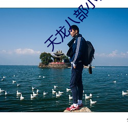 天龙八部小说