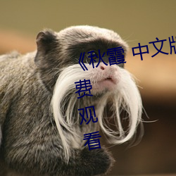 《秋霞 中文版》高清超清HD版免費觀看
