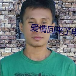 爱情回来了电视剧 （细账）