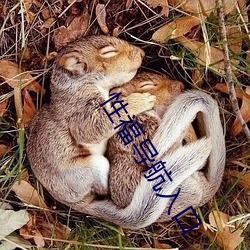 性福导航入口