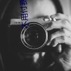 不用付费不用登录的网站