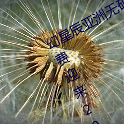 金年会 | 诚信至上金字招牌