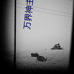 万界神主动漫在线观看三米