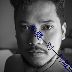 免费一对(duì)一刺激互动聊天
