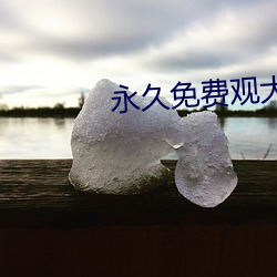 永久(jiǔ)免(miǎn)费观大色软件