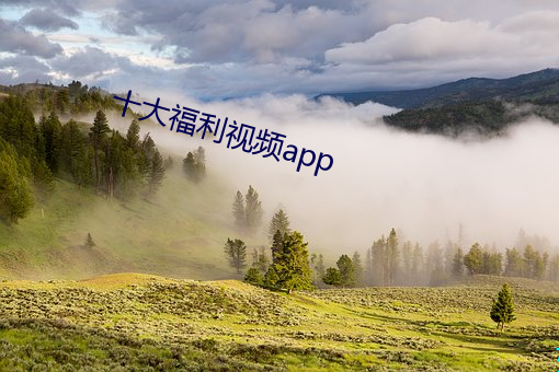 十大福(福)利视频app