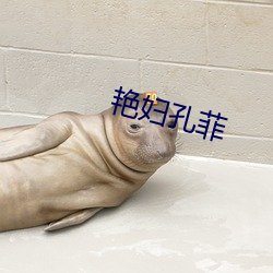 豔婦孔菲