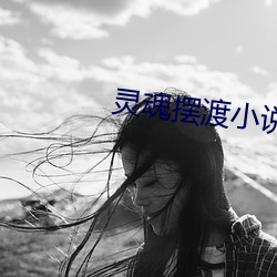 灵魂摆(擺)渡小说(說)