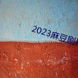 2023麻豆剧果冻传(chuán)媒