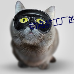 动画梦工厂的房子