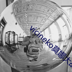 vicineko莫娜大(大)战史(史)莱(萊)姆游戏视(視)频