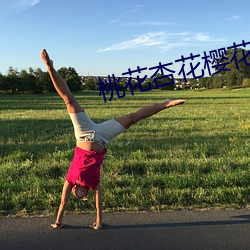 桃花杏花櫻花免費觀看mv