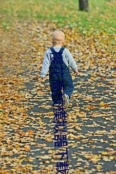 樱花高校模(mó)拟器下载(zài)中文(wén)破解版2024