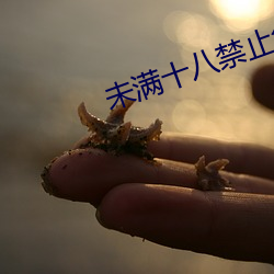 未(wèi)满十八禁止色(sè)丝瓜视(shì)频
