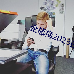 金瓶梅2023在线观看