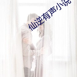 仙逆有声小(xiǎo)说