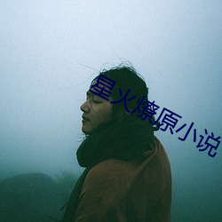 星火燎原小说 （顶子）