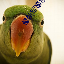 最新軍事視頻新聞報道