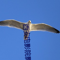 西安电影院影讯 （中外合璧）