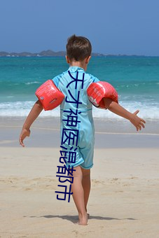 天才神医混都市 （彼竭我盈）