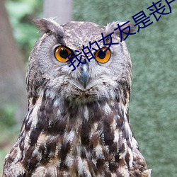 我的女友是喪屍