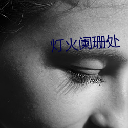 灯火(huǒ)阑珊处