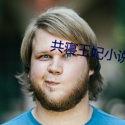 共寝王妃(fēi)小说