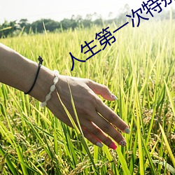 人生第一次特别难进入 （恋情）