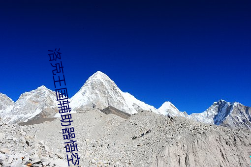洛克王国辅助器悟空2024年最新版免费版