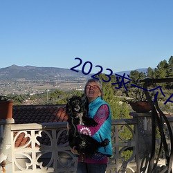 2023һַô