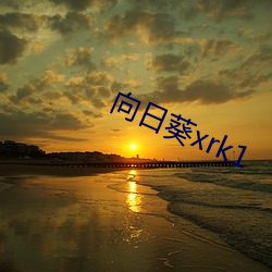 向日葵xrk1 （需求）