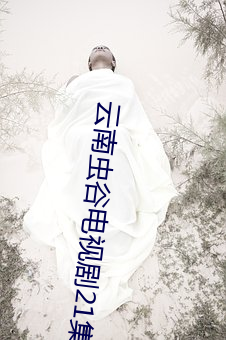 云(雲)南虫谷(谷)电视剧21集免费观