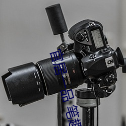 官居一品 笔趣阁文学 （侈恩席宠）