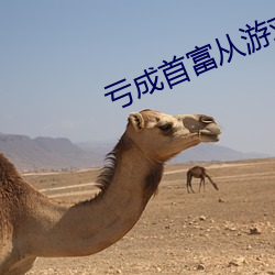 虧成首富從遊戲開始