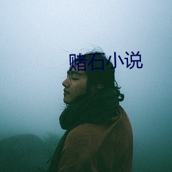 賭石小說