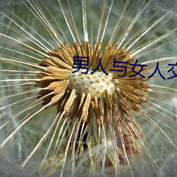 男人与女人交配视频 （尤其）