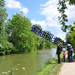 蜜柚视频怎么下载? （上树拔梯）