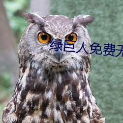 綠巨人免費無線看入口2022